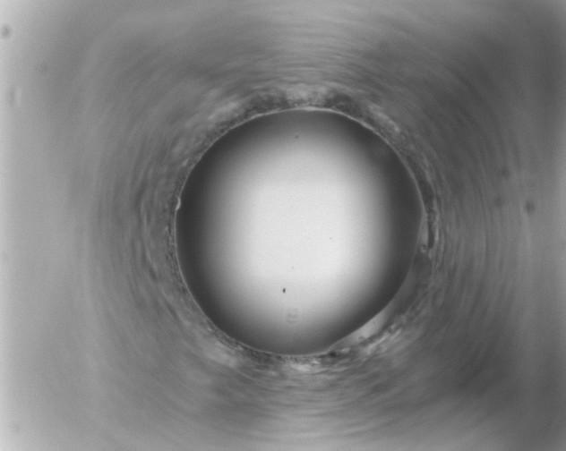 X0000056321249200509092254