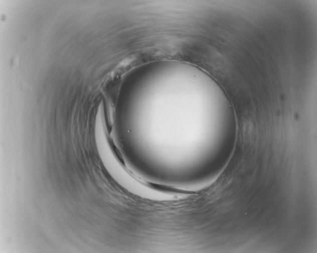 X0000056321250200509092254