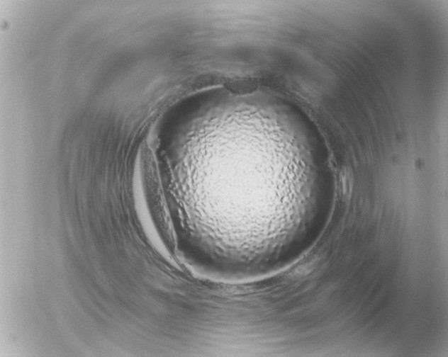 X0000056321251200509092254