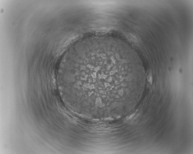 X0000056321252200509092254