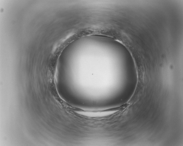 X0000056321253200509092254