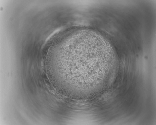 X0000056321254200509092254