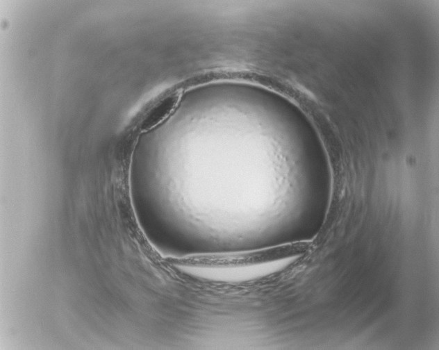 X0000056321255200509092254