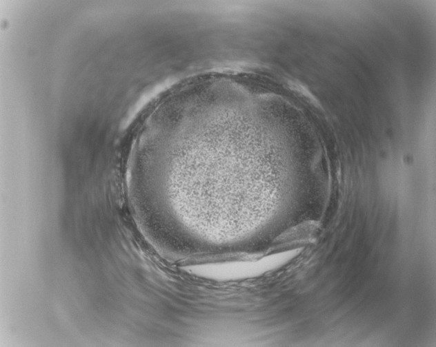 X0000056321256200509092254