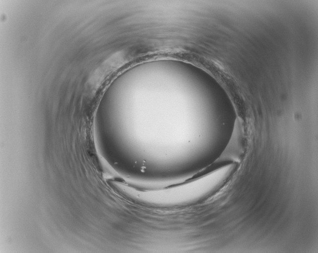 X0000056321257200509092254