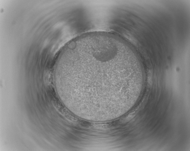 X0000056321258200509092253