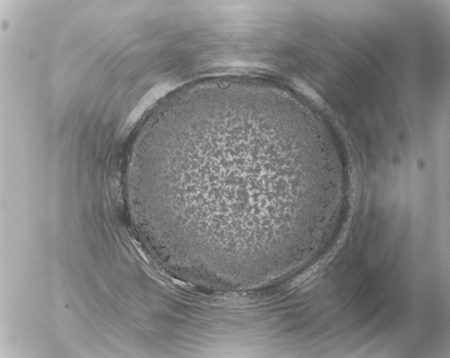 X0000056321259200509092253