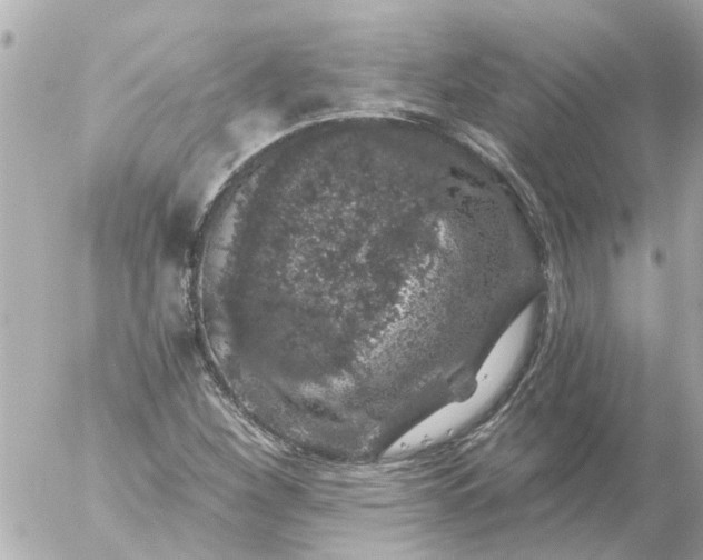 X0000056321260200509092253