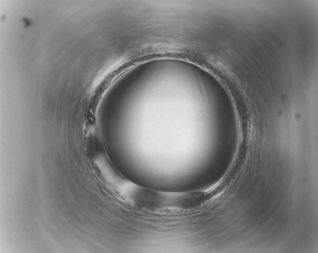 X0000056321261200509092253