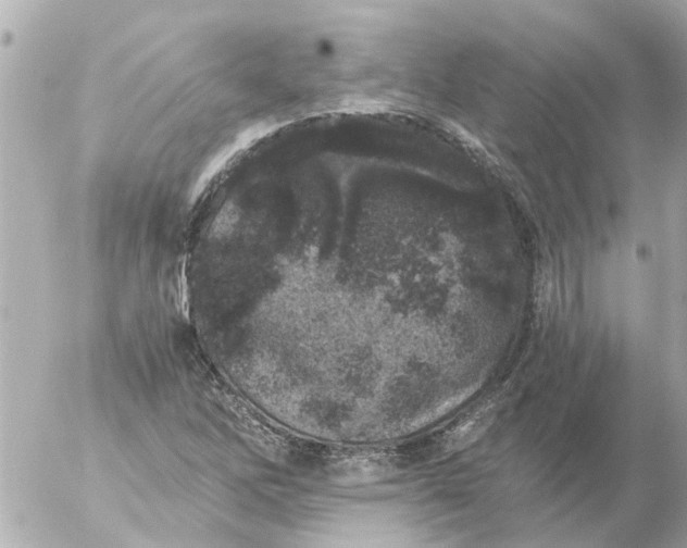 X0000056321262200509092253