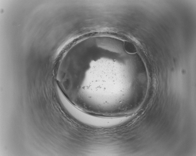 X0000056321263200509092253