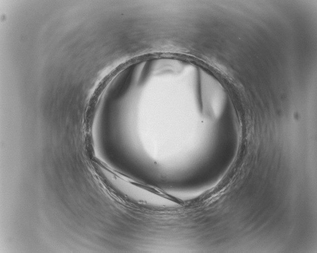 X0000056321264200509092253