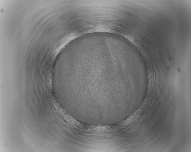 X0000056321266200509092253