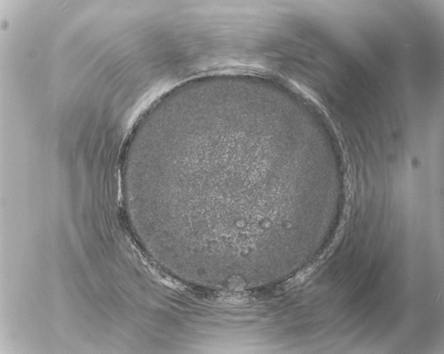 X0000056321267200509092253