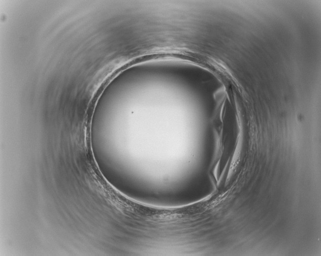 X0000056321268200509092253