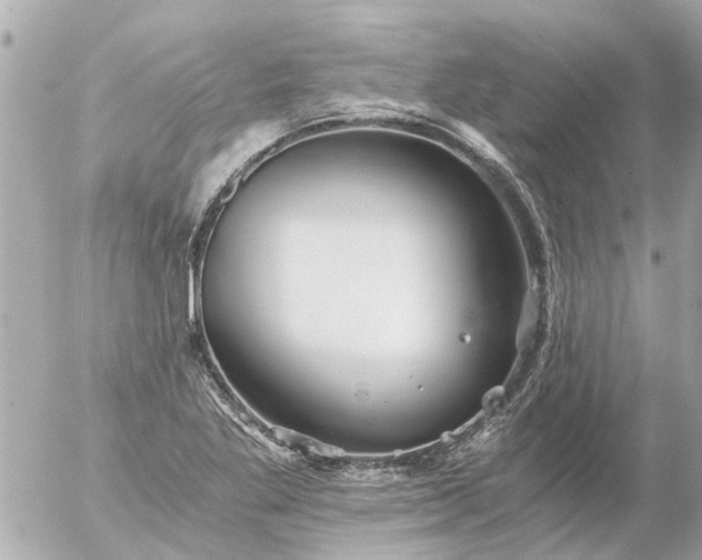 X0000056321269200509092253