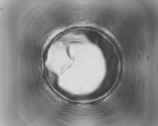 X0000056321270200509092253