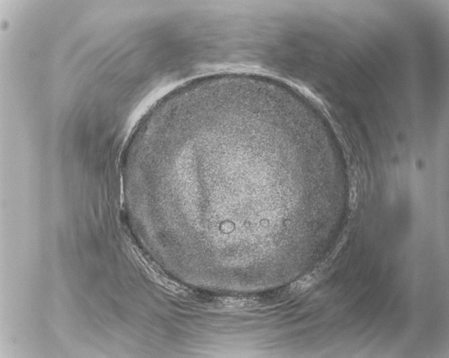 X0000056321271200509092253