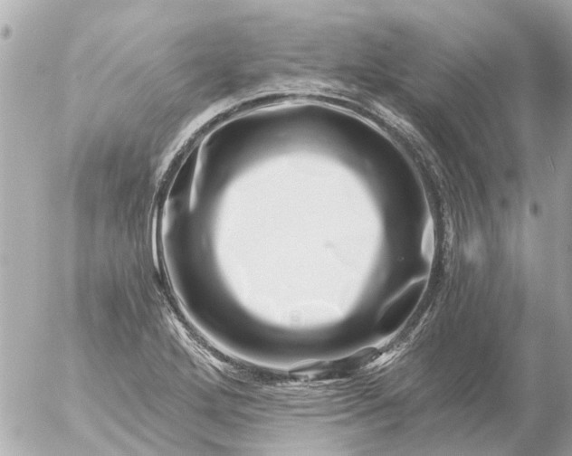 X0000056321272200509092253