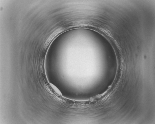 X0000056321273200509092253