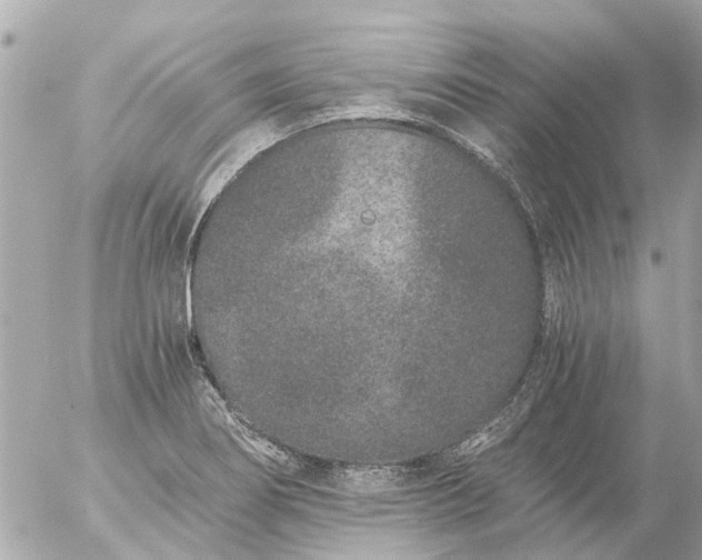 X0000056321274200509092253