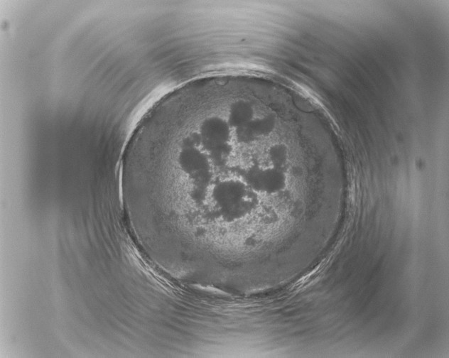 X0000056321275200509092253