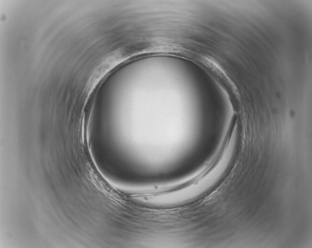 X0000056321276200509092253