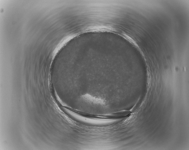 X0000056321277200509092253