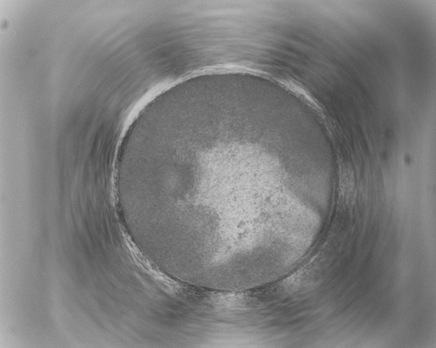 X0000056321278200509092253