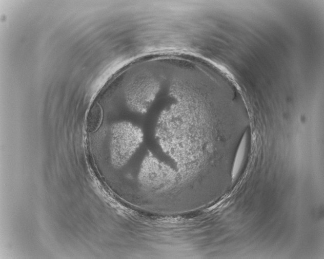 X0000056321279200509092253