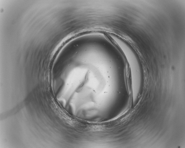 X0000056321280200509092253