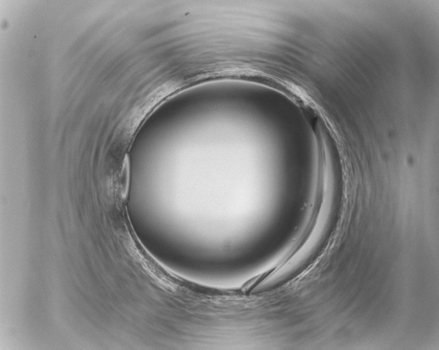 X0000056321281200509092253