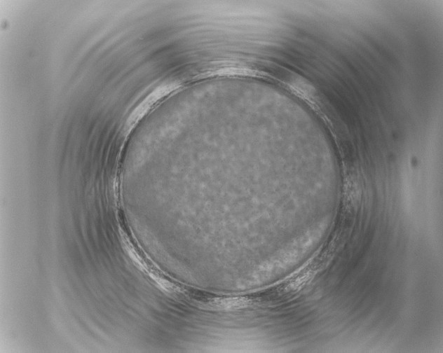 X0000056321282200509092253