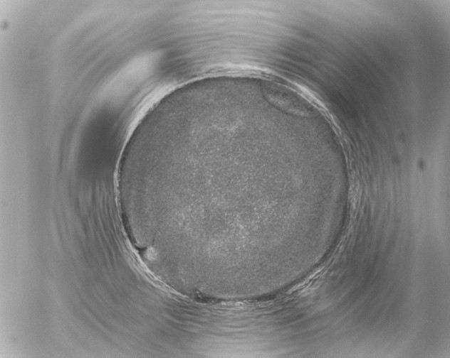 X0000056321283200509092253