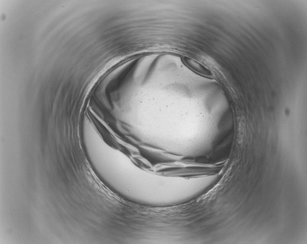 X0000056321284200509092253