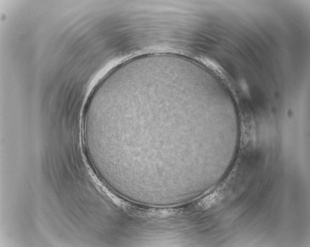 X0000056321286200509092253