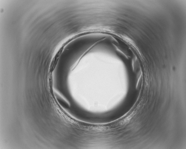 X0000056321288200509092253