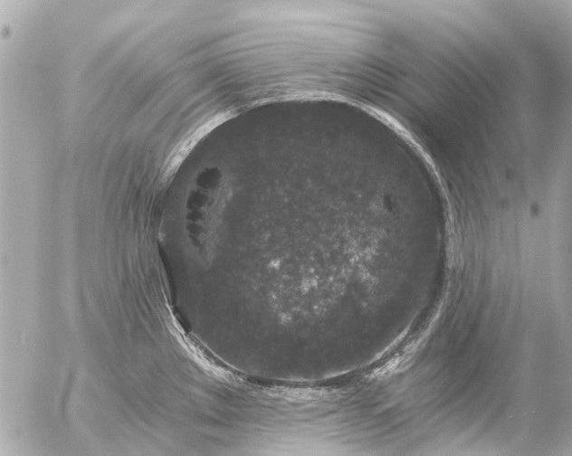 X0000056321289200509092253