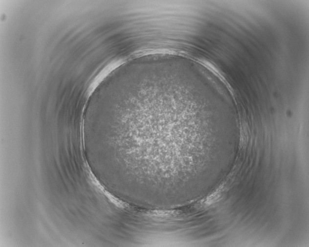 X0000056321290200509092253