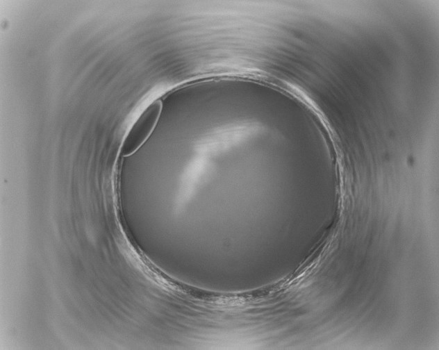 X0000056321291200509092253