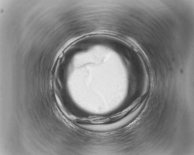 X0000056321292200509092253