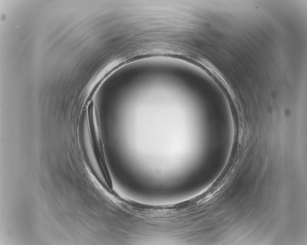 X0000056321293200509092253