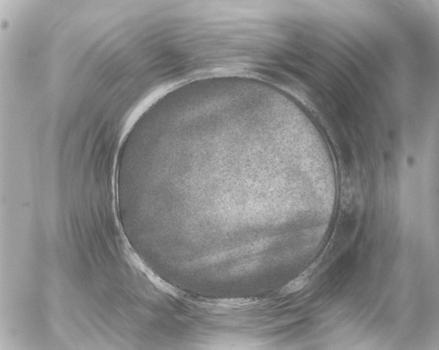 X0000056321294200509092253