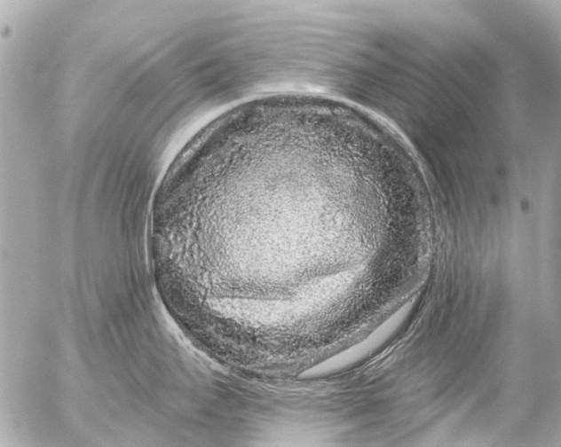 X0000056321295200509092253