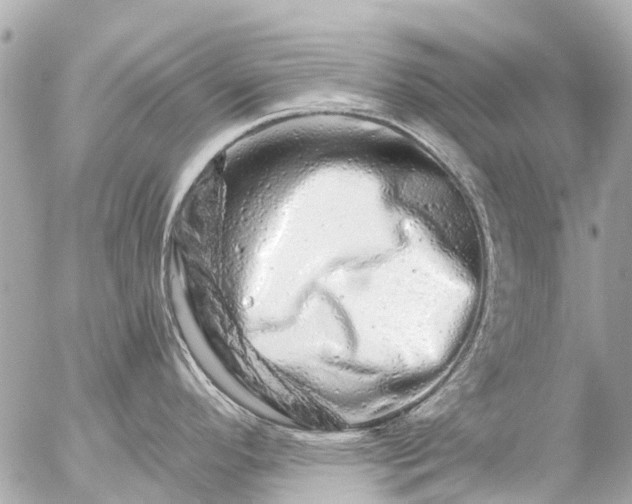 X0000056321296200509092253