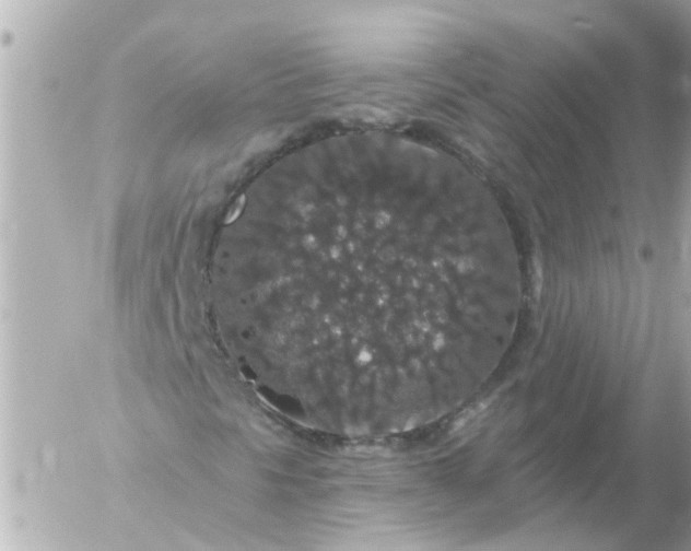 X0000056321297200509092252