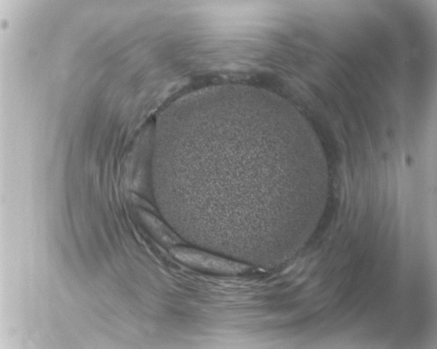 X0000056321298200509092252