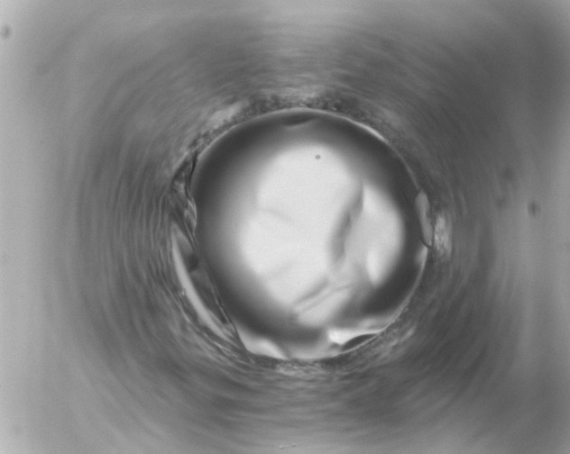 X0000056321299200509092252