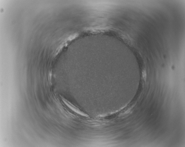 X0000056321300200509092252