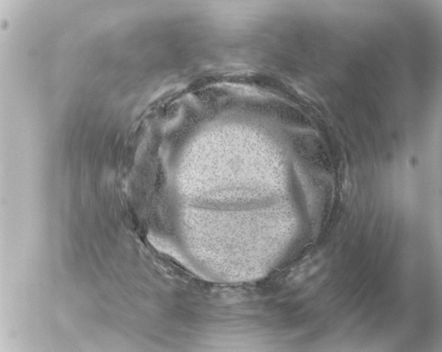 X0000056321301200509092252